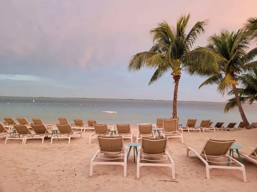 Baker's Cay Resort Key Largo review 1 Beachfront lounge chairs under palm trees at sunset at Baker’s Cay Resort in Key Largo, Florida, facing calm turquoise waters and a pastel-colored sky.
