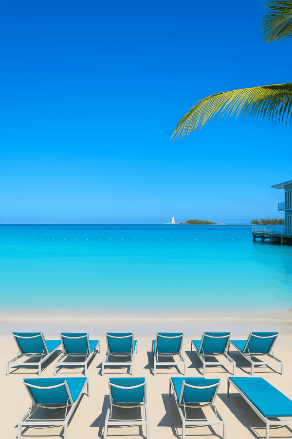 Margaritaville Nassau Day Pass Review: Pros, Cons, and What We Loved 6 Rows of blue lounge chairs facing the turquoise ocean at Margaritaville Beach Resort in Nassau, Bahamas, with palm trees and clear blue skies. Margaritaville Nassau day pass reviewMargaritaville Nassau day pass review