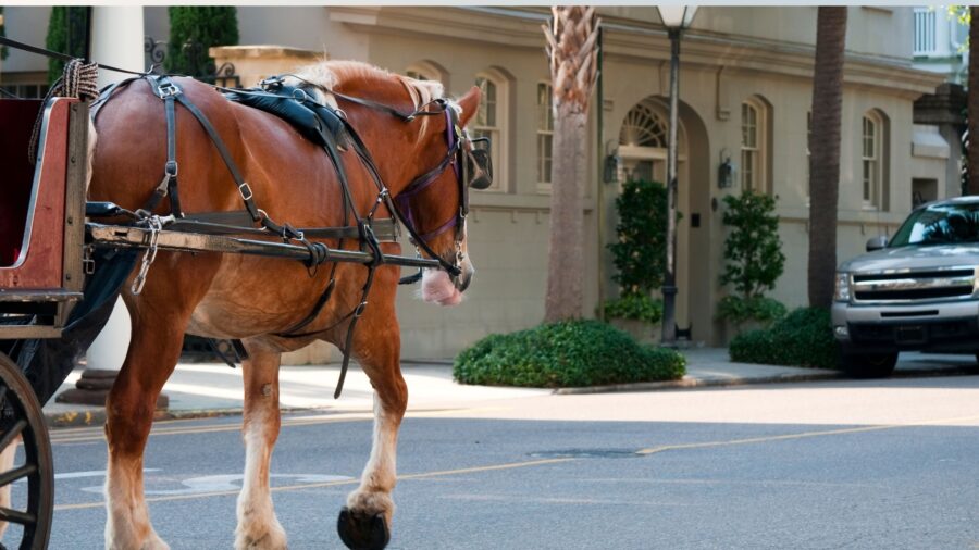 The Ultimate Charleston Weekend Getaway for Women: Walkable, Charming & Full of Southern Surprises 7 Horse-drawn carriage touring through a charming, historic street in Charleston, South Carolina, with a tan draft horse in harness and classic architecture in the background.