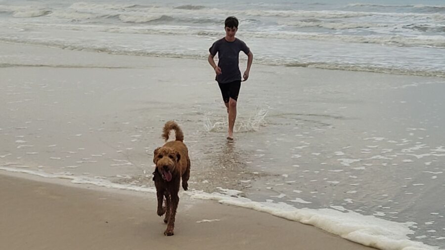 Goldendoodle running along the shoreline at Crescent Beach Florida with a boy in the background, enjoying a dog-friendly beach day on the Atlantic coast.