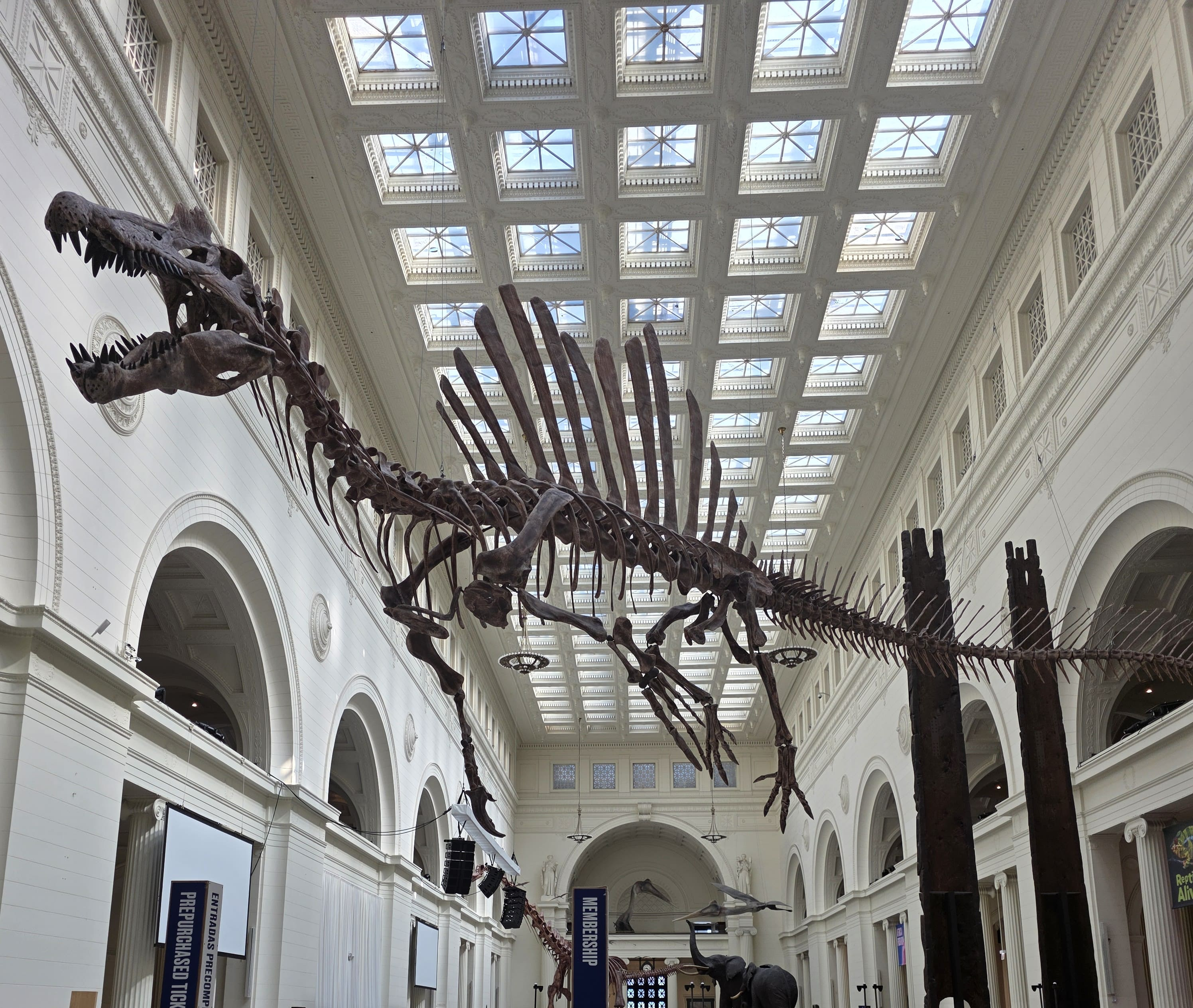 16 Best Things to Visit In Chicago 6 Field Museum Image for the best things to visit in Chicago IL, Easy USA Trips
