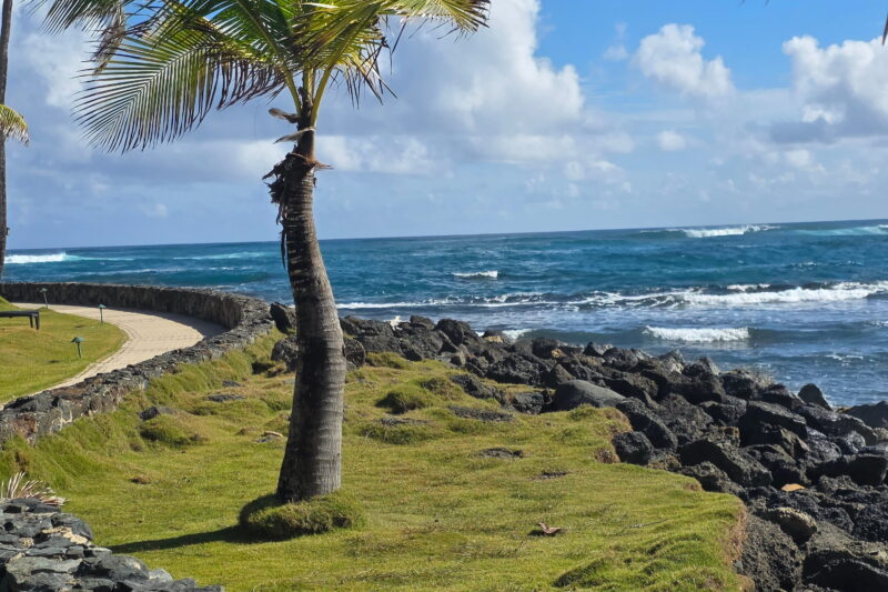 Caribe Hilton San Juan Review: Why We Almost Canceled — And Are So Glad We Didn’t