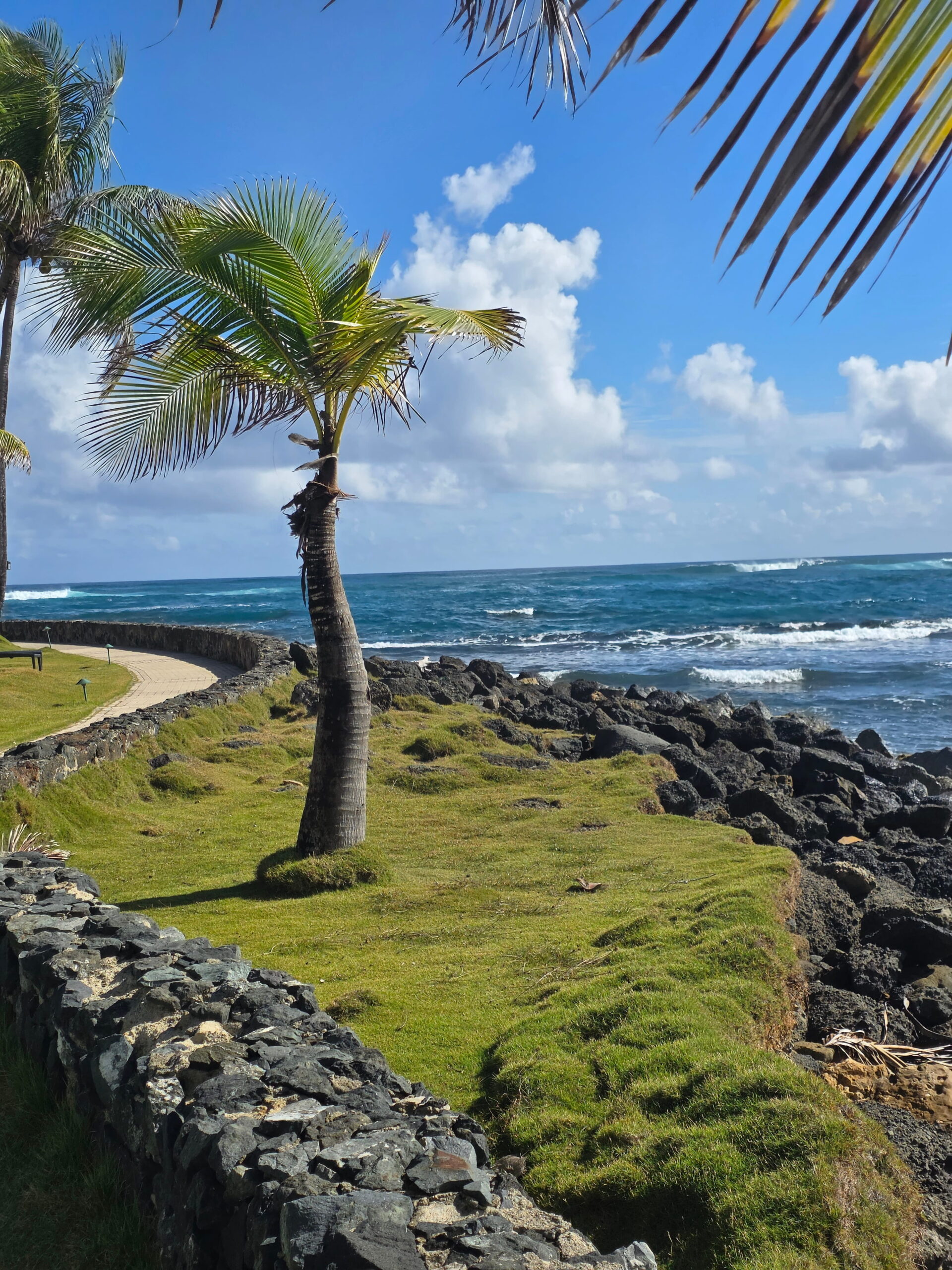 Caribe Hilton San Juan Review: Why We Almost Canceled — And Are So Glad We Didn’t